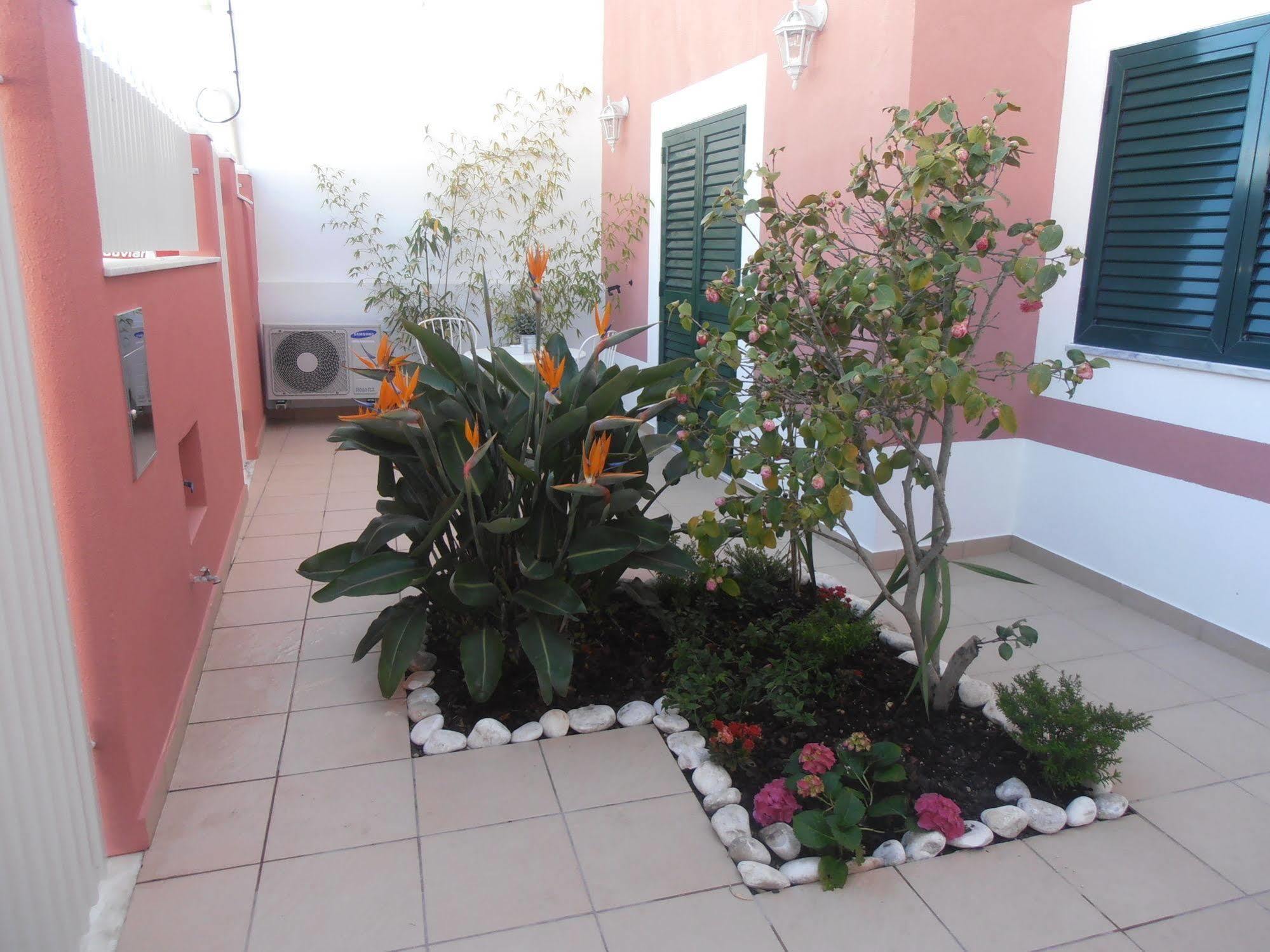 Casa Morgados - Grandola Guesthouse Zewnętrze zdjęcie